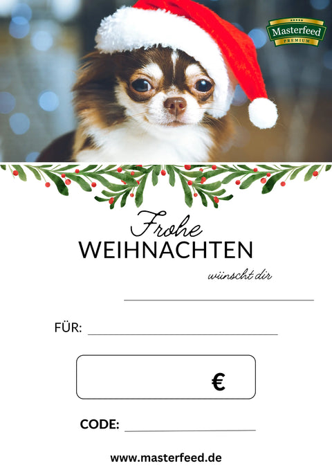 Geschenkgutschein 100 € Masterfeed
